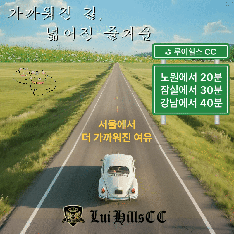 교통안내